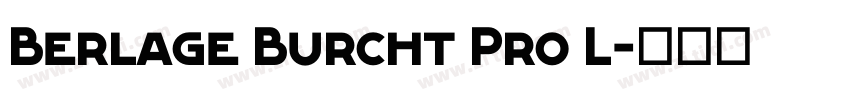 Berlage Burcht Pro L字体转换